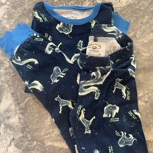 Crewcuts 10 pajama set
